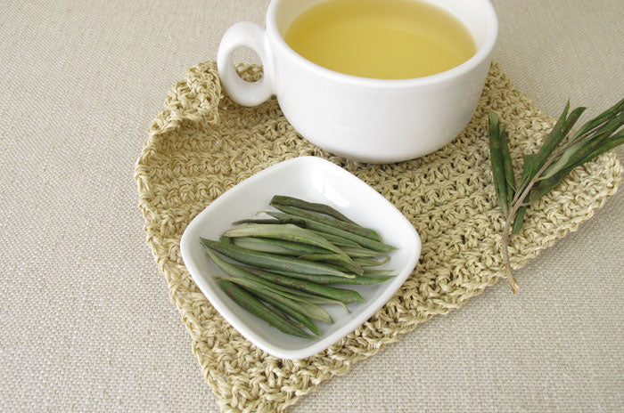 Olive Leaf Tea